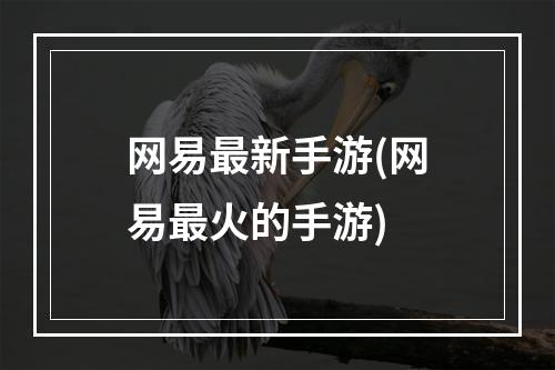 网易最新手游(网易最火的手游)