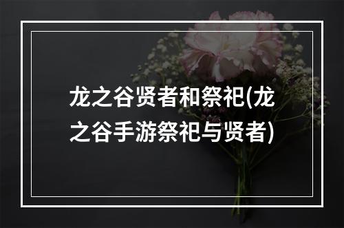 龙之谷贤者和祭祀(龙之谷手游祭祀与贤者)