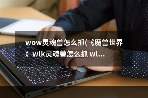 wow灵魂兽怎么抓(《魔兽世界》wlk灵魂兽怎么抓 wlk灵魂兽获取方法  )