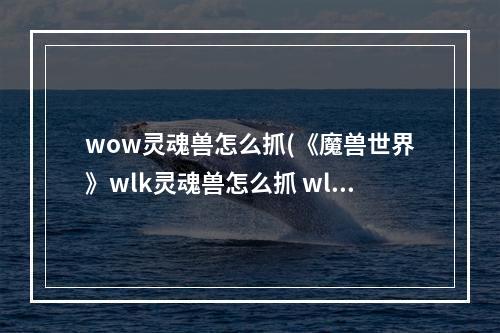 wow灵魂兽怎么抓(《魔兽世界》wlk灵魂兽怎么抓 wlk灵魂兽获取方法  )