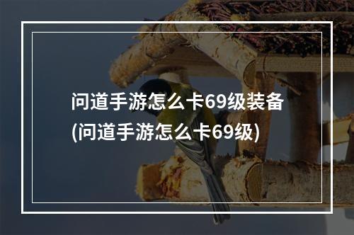 问道手游怎么卡69级装备(问道手游怎么卡69级)