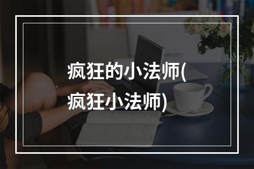 疯狂的小法师(疯狂小法师)