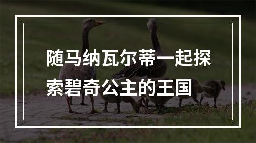 随马纳瓦尔蒂一起探索碧奇公主的王国