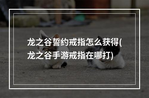 龙之谷誓约戒指怎么获得(龙之谷手游戒指在哪打)