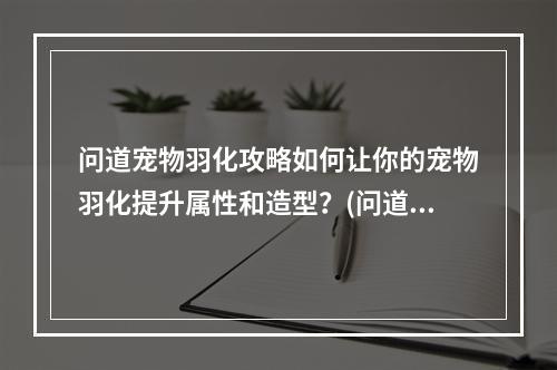 问道宠物羽化攻略如何让你的宠物羽化提升属性和造型？(问道宠物羽化任务流程详解一步步解析羽化所需步骤和要求！)