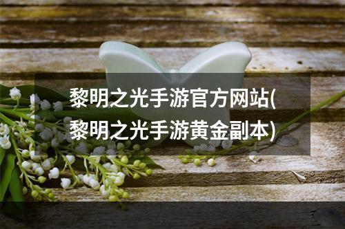 黎明之光手游官方网站(黎明之光手游黄金副本)