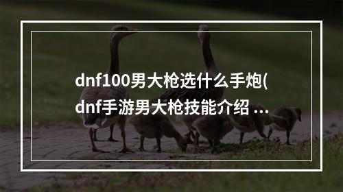 dnf100男大枪选什么手炮(dnf手游男大枪技能介绍 地下城与勇士M枪炮师技能怎么)