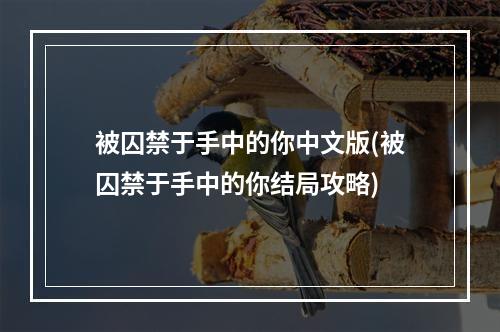 被囚禁于手中的你中文版(被囚禁于手中的你结局攻略)