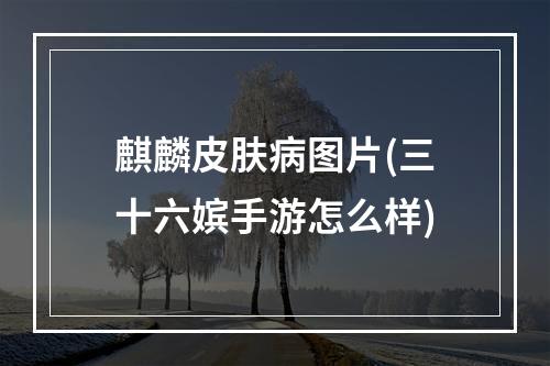 麒麟皮肤病图片(三十六嫔手游怎么样)