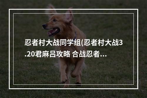 忍者村大战同学组(忍者村大战3.20君麻吕攻略 合战忍者村前期攻略)