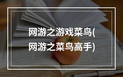 网游之游戏菜鸟(网游之菜鸟高手)