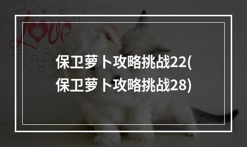 保卫萝卜攻略挑战22(保卫萝卜攻略挑战28)