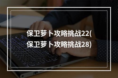 保卫萝卜攻略挑战22(保卫萝卜攻略挑战28)