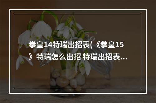 拳皇14特瑞出招表(《拳皇15》特瑞怎么出招 特瑞出招表大全 )