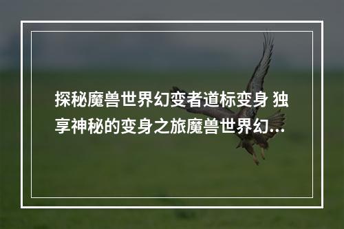 探秘魔兽世界幻变者道标变身 独享神秘的变身之旅魔兽世界幻变者道标