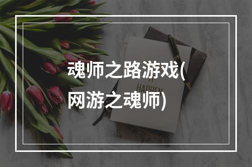 魂师之路游戏(网游之魂师)