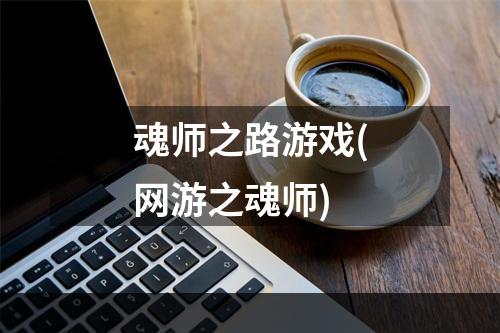 魂师之路游戏(网游之魂师)