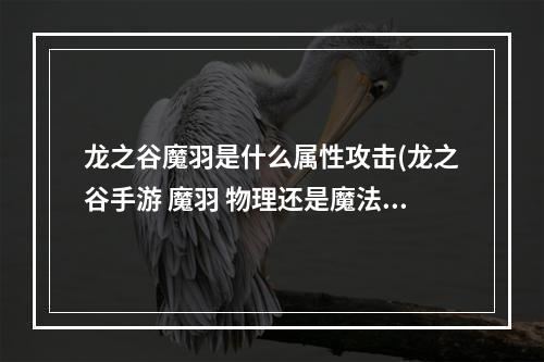 龙之谷魔羽是什么属性攻击(龙之谷手游 魔羽 物理还是魔法)