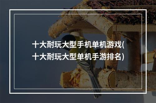 十大耐玩大型手机单机游戏(十大耐玩大型单机手游排名)