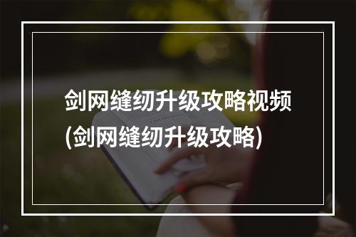 剑网缝纫升级攻略视频(剑网缝纫升级攻略)