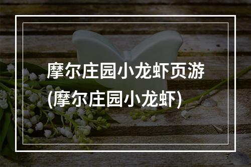 摩尔庄园小龙虾页游(摩尔庄园小龙虾)