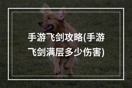 手游飞剑攻略(手游飞剑满层多少伤害)