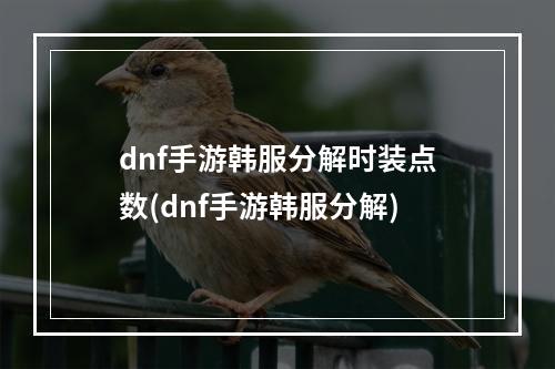 dnf手游韩服分解时装点数(dnf手游韩服分解)