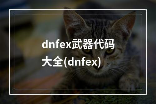 dnfex武器代码大全(dnfex)