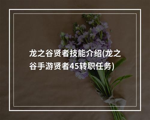 龙之谷贤者技能介绍(龙之谷手游贤者45转职任务)