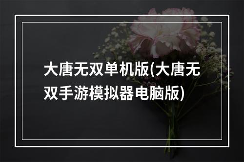 大唐无双单机版(大唐无双手游模拟器电脑版)