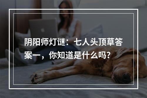 阴阳师灯谜：七人头顶草答案一，你知道是什么吗？