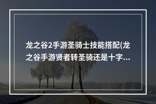 龙之谷2手游圣骑士技能搭配(龙之谷手游贤者转圣骑还是十字军)