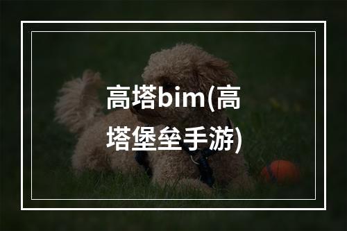 高塔bim(高塔堡垒手游)