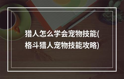 猎人怎么学会宠物技能(格斗猎人宠物技能攻略)