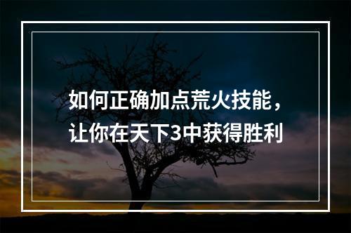 如何正确加点荒火技能，让你在天下3中获得胜利