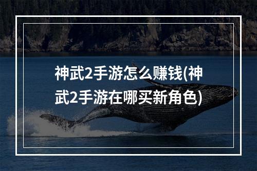 神武2手游怎么赚钱(神武2手游在哪买新角色)