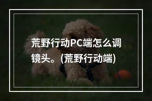 荒野行动PC端怎么调镜头。(荒野行动端)