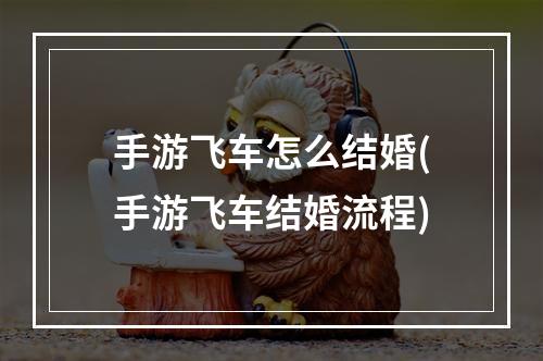 手游飞车怎么结婚(手游飞车结婚流程)