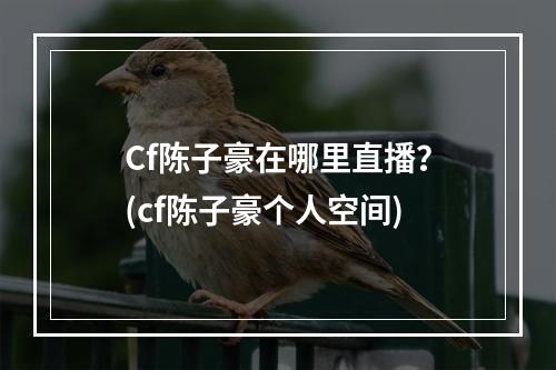 Cf陈子豪在哪里直播？(cf陈子豪个人空间)