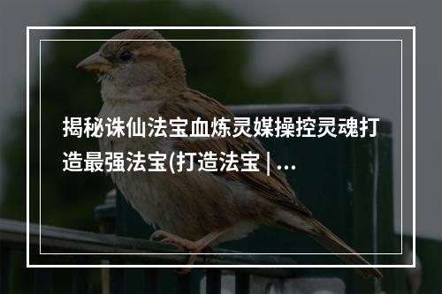 揭秘诛仙法宝血炼灵媒操控灵魂打造最强法宝(打造法宝 | 操控灵魂 | 诛仙世界)