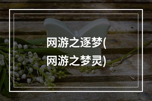 网游之逐梦(网游之梦灵)