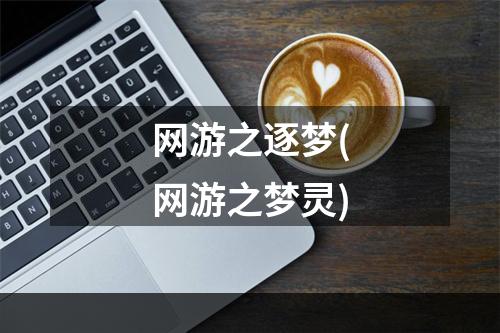 网游之逐梦(网游之梦灵)