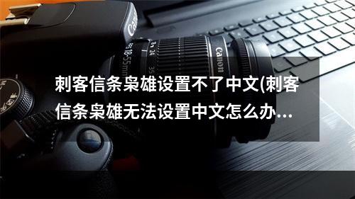 刺客信条枭雄设置不了中文(刺客信条枭雄无法设置中文怎么办Uplay版1.21BUG)