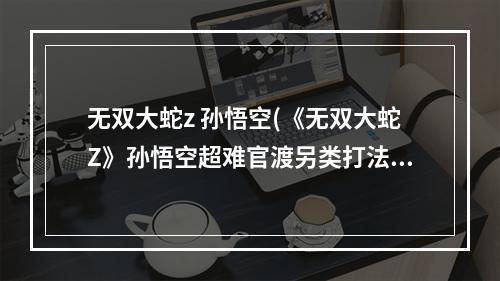 无双大蛇z 孙悟空(《无双大蛇Z》孙悟空超难官渡另类打法)