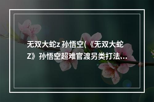 无双大蛇z 孙悟空(《无双大蛇Z》孙悟空超难官渡另类打法)