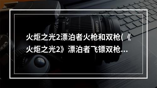 火炬之光2漂泊者火枪和双枪(《火炬之光2》漂泊者飞镖双枪流打法及加点攻略 技能加点)