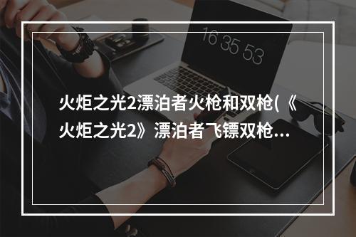 火炬之光2漂泊者火枪和双枪(《火炬之光2》漂泊者飞镖双枪流打法及加点攻略 技能加点)