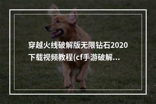 穿越火线破解版无限钻石2020下载视频教程(cf手游破解版无限钻石视频教程)