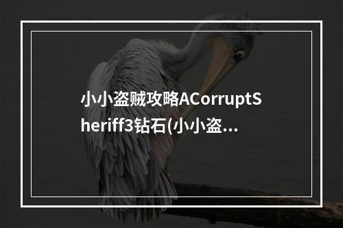 小小盗贼攻略ACorruptSheriff3钻石(小小盗贼攻略)