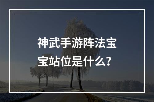 神武手游阵法宝宝站位是什么？